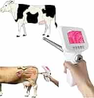 生産獣医療システム 乳牛編 1.2.3 生産獣医療システム (肉牛編) (生産獣医療を目指して・テキスト